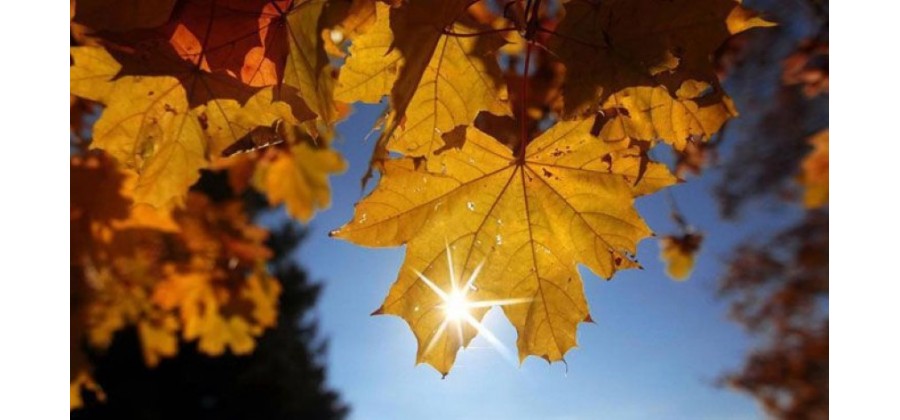 Септември започва със слънце и топло време и като цяло