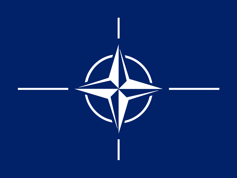 Заместник генералният секретар на НАТО Мирча Джоана решително отхвърли декларацията