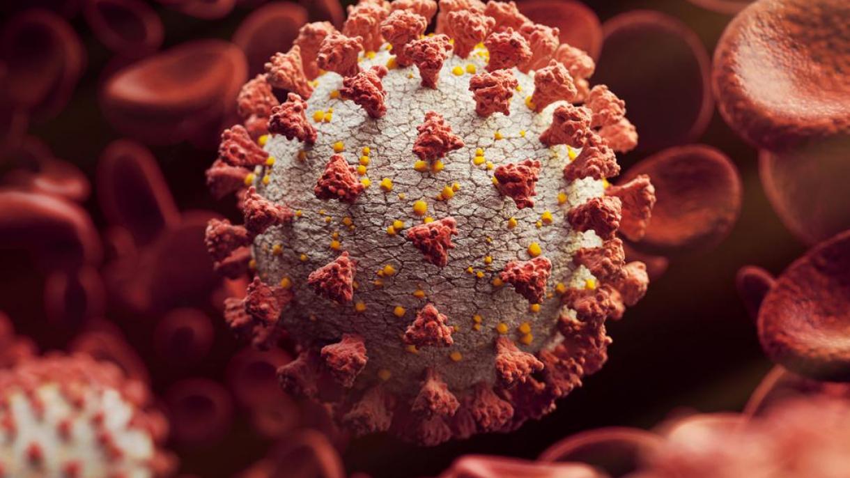 8 140 нови случая на коронавирус у нас. Те са
