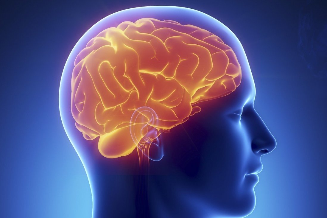Експерти посочиха три навика които забавят стареенето на мозъка а