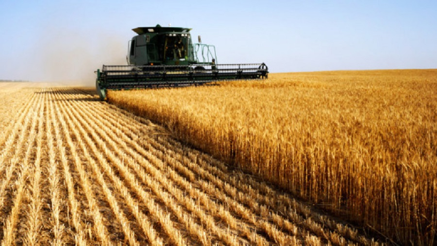 Ескалацията на напрежението между глобалните селскостопански производители Русия и Украйна