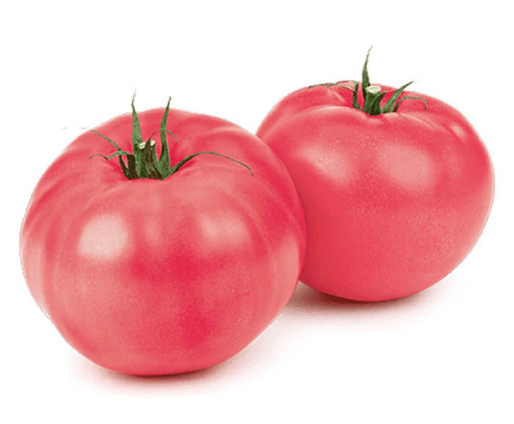 Цената на оранжерийните домати се вдигна през миналата седмица с