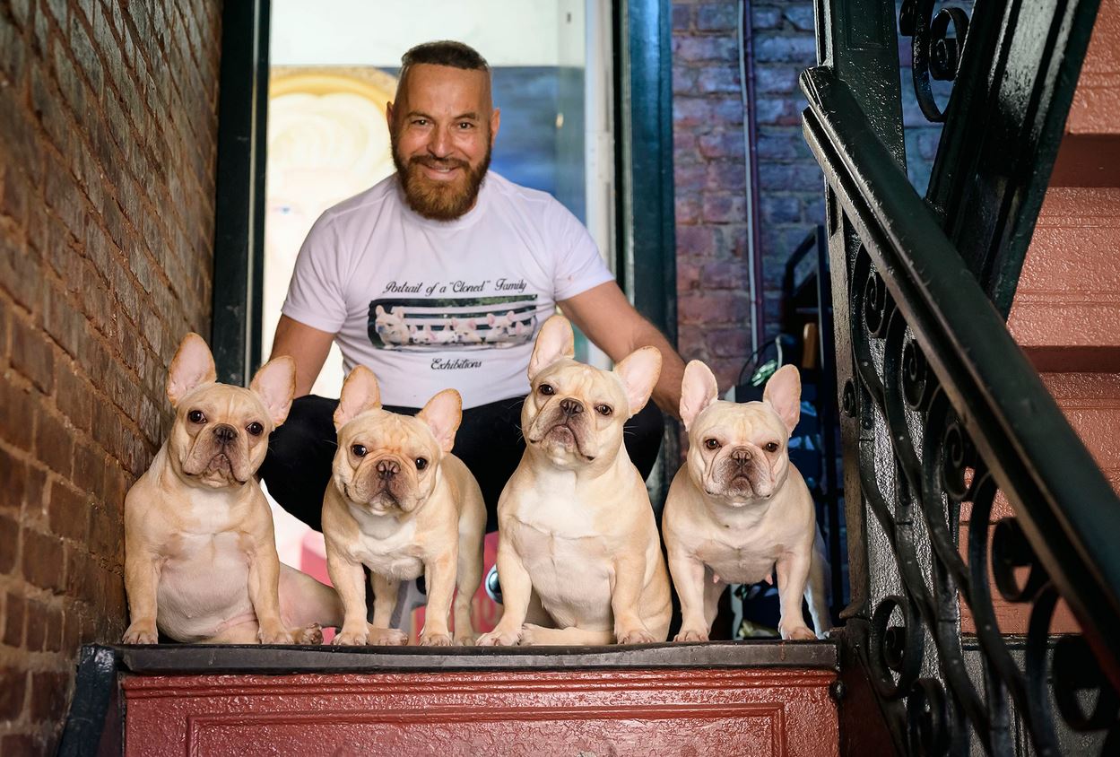 Жител на Ню Йорк клонира любимия си френски булдог и