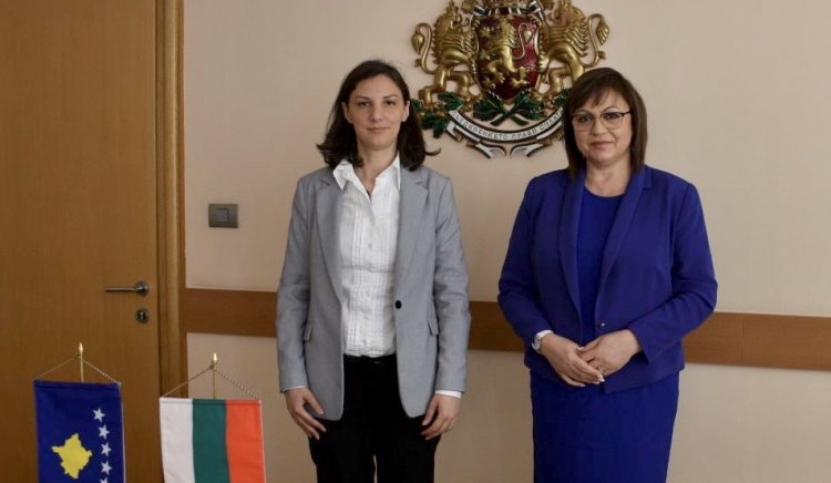 „Търговско-икономическите отношения между България и Косово са традиционно добри, но