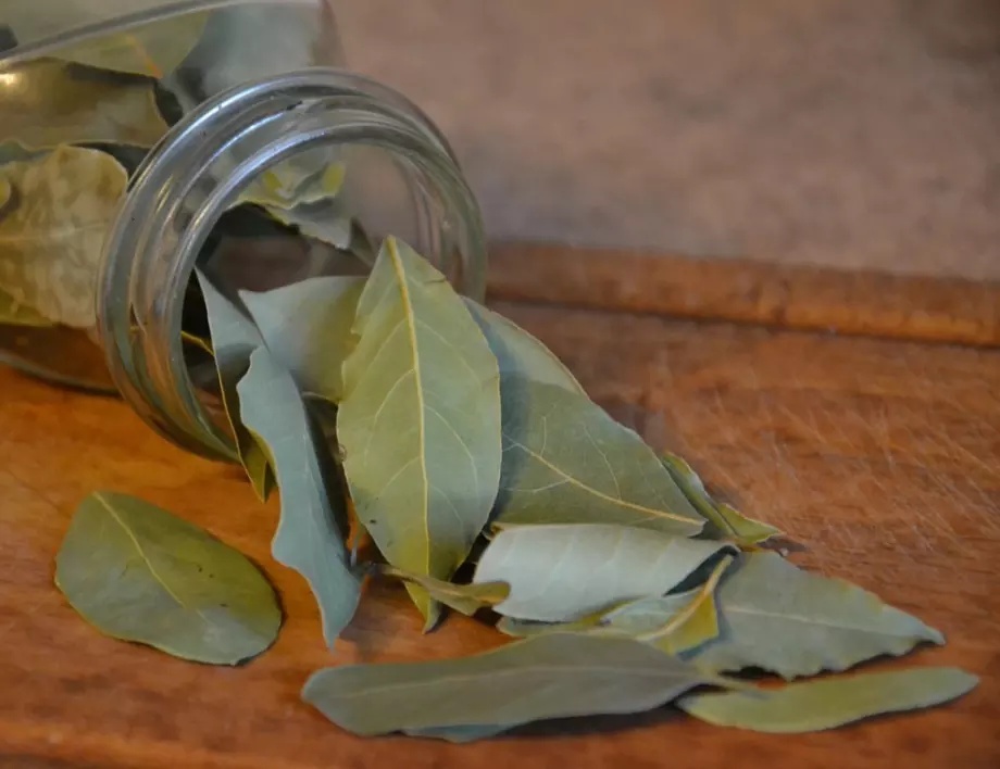 Може би всички използваме дафинов лист като подправка за ястия