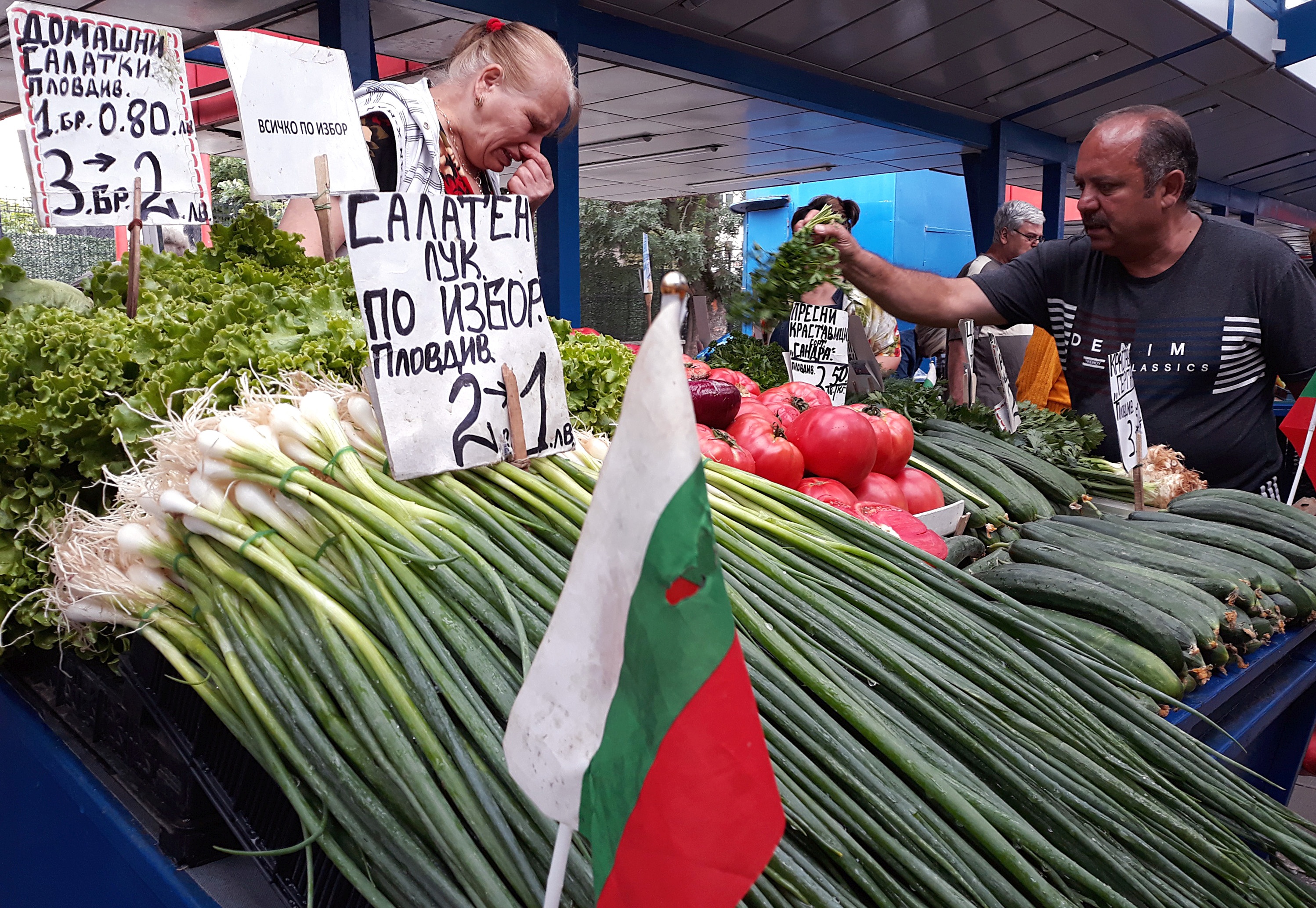 В България в момента вносът на плодове и зеленчуци е