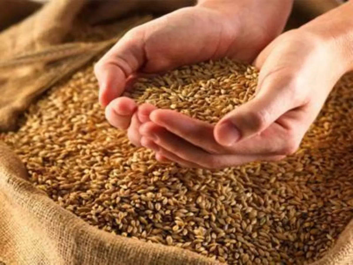 Няма да има изкупуване на зърно за допълване на държавните
