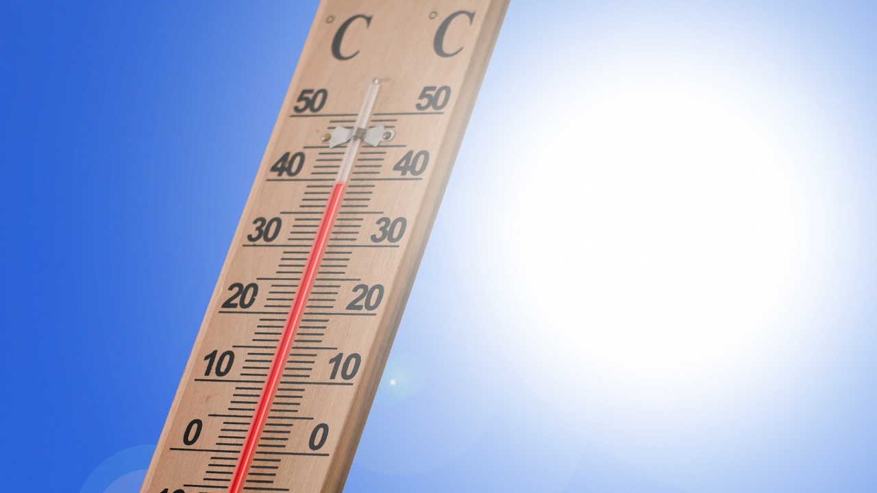 Екстремно високите температури в Западна Европа увеличават риска от екологична