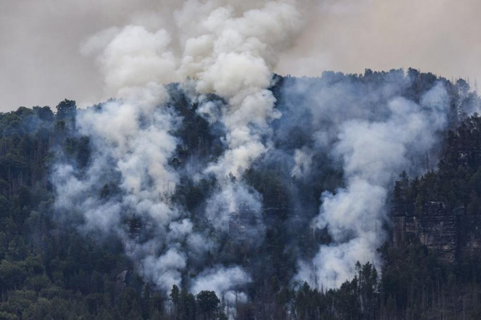 Частично бедствено положение обявиха в панагюрското село Елшица заради пожара