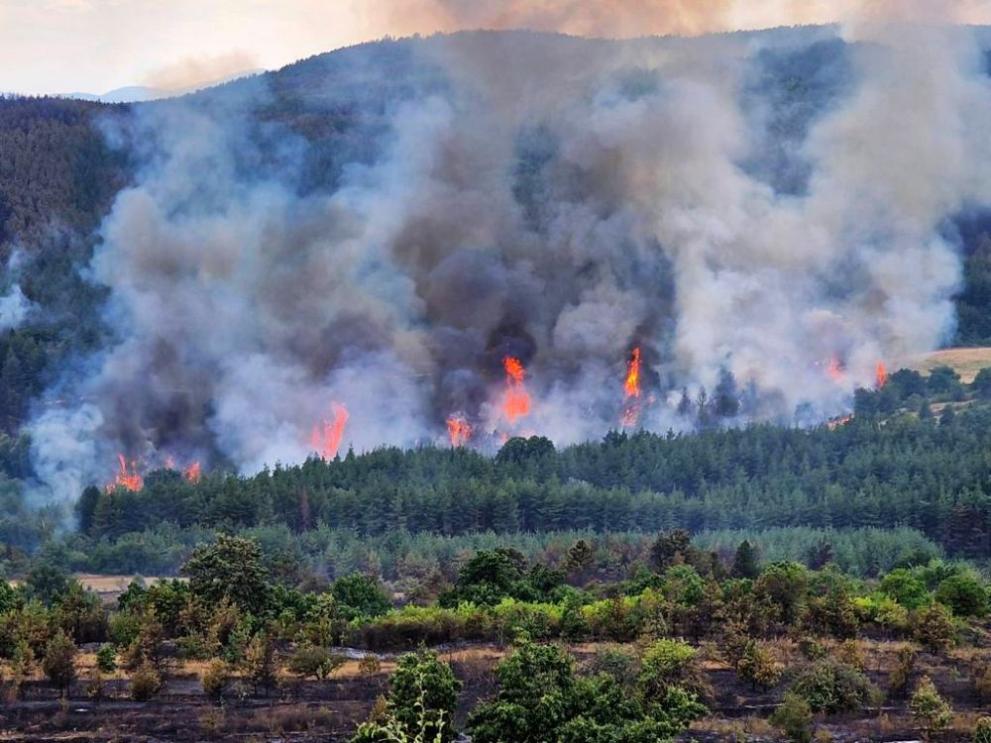 Близо 3000 декара гора изгоря при поредният пожар в Сакар,