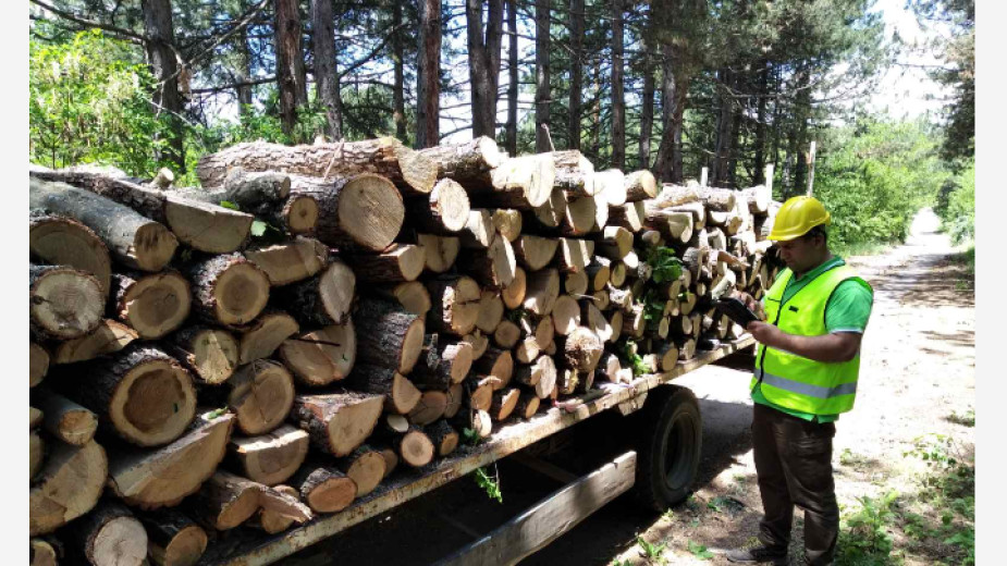 Почти три пъти повече са заявките за дърва за огрев