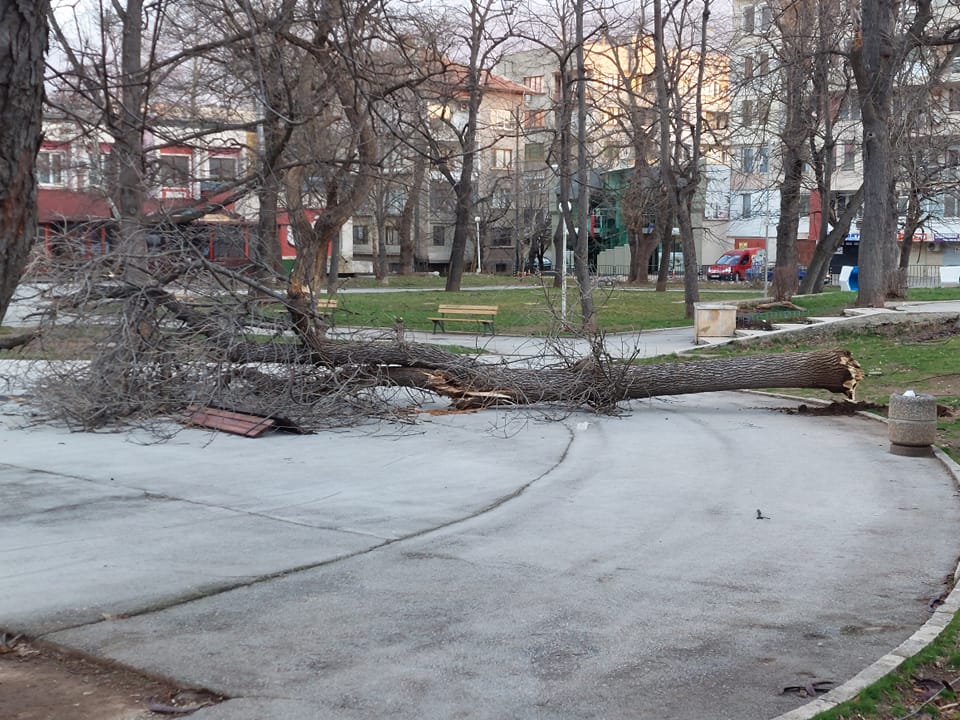 Бедствено положение в цялата област Враца информира БНТ Вчера вилня