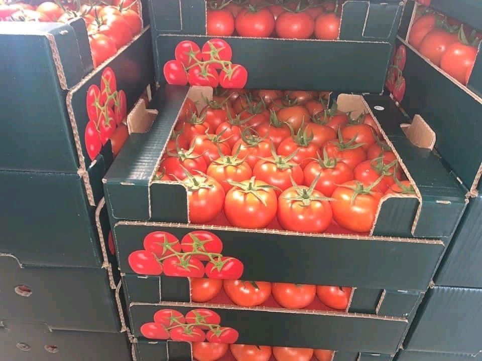 Водещият вносител на домати от Турция през 2022 г. е