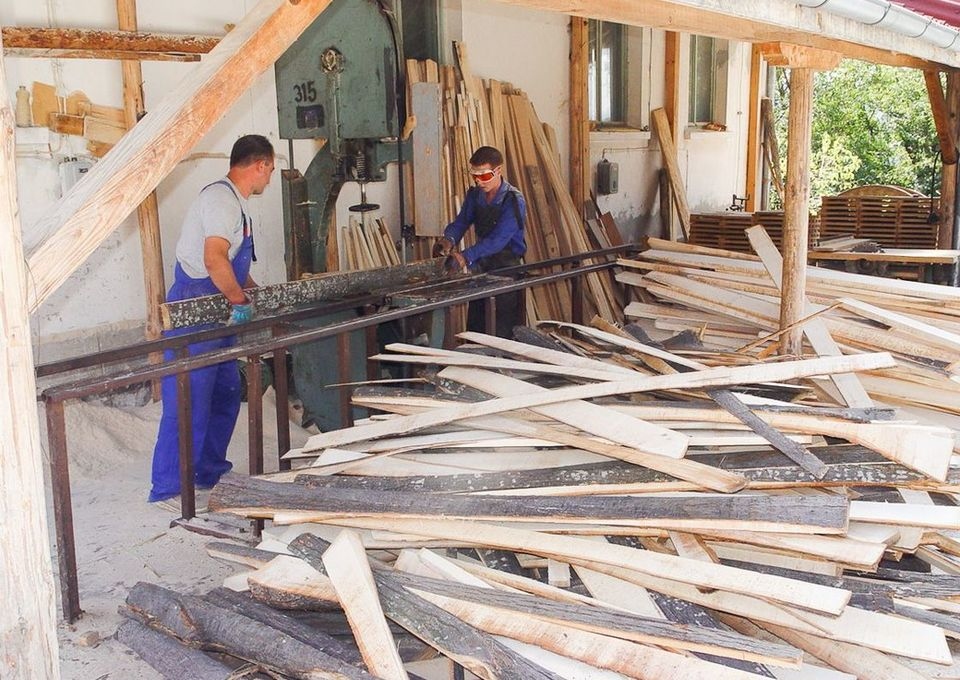 Голяма част от дървопреработващите предприятия в страната са спрели работа