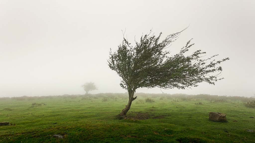 Днес през страната ще преминава студен атмосферен фронт информира БНТ