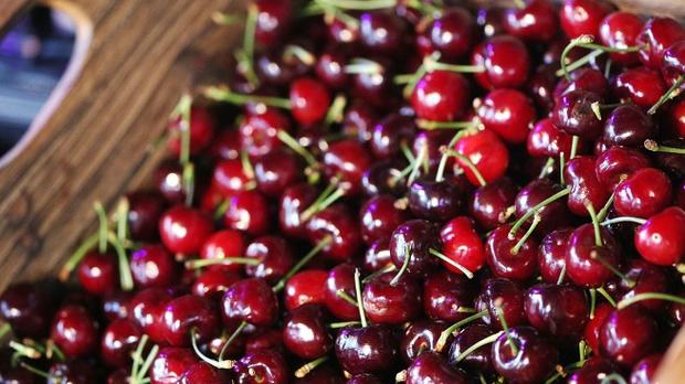 По скъпи плодове тази година очакват производителите и експертите в Югозападна