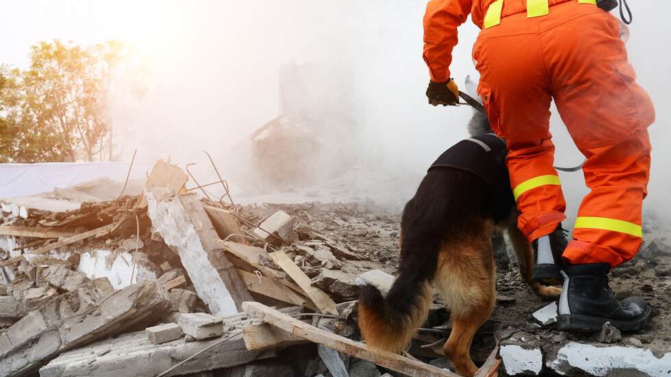 Около сто спасители продължават да претърсват отломките на рухналата жилищна