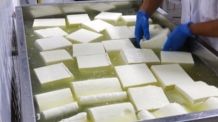 Бялото сирене не трябва да има повече от 60 вода