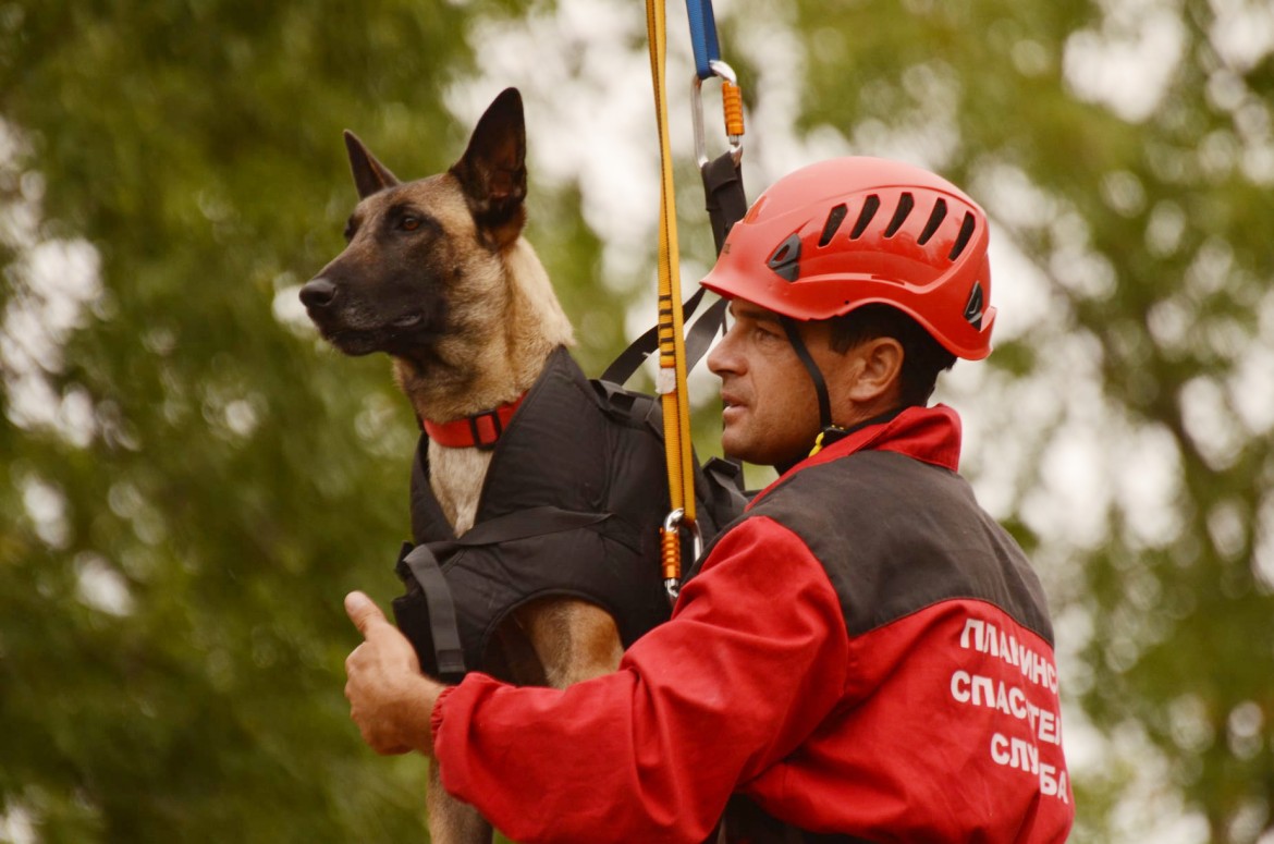 Кучетата от Планинската спасителна служба към БЧК имат нужда от