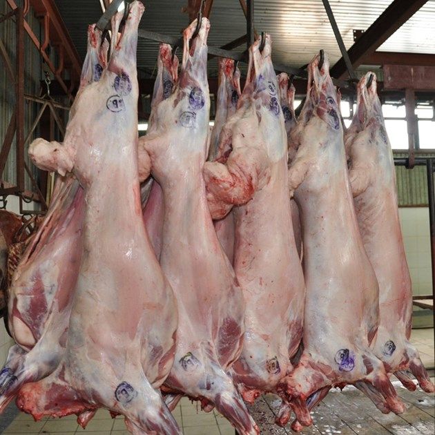 Установените 32 тона замразено агнешко месо от Северна Македония в