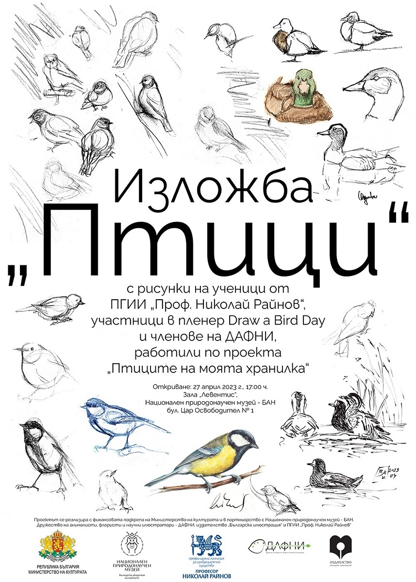 Част от огромното царство на птиците в България и дивата