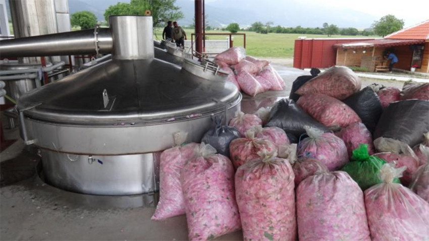 Българското розово масло беше вписано в Международния регистър на световната