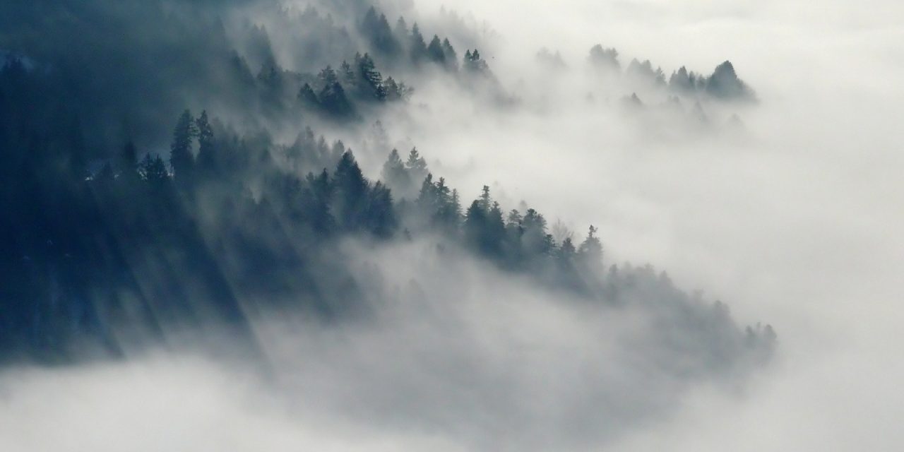 Времето в планините е облачно и има мъгла на много