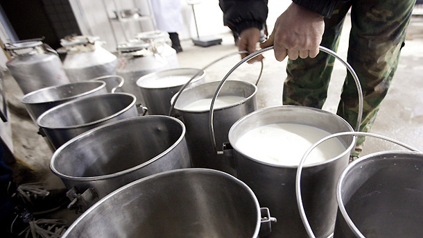 Фермери от Пловдивско подаряват млякото си информира БНР Единственото изискване