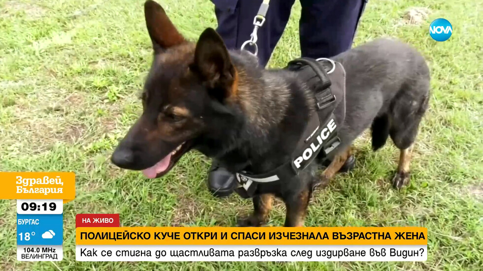 Полицейско куче откри и спаси изчезнала възрастна жена във видинското