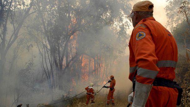 Голям пожар в Кипър бе овладян от огнеборците съобщиха властите