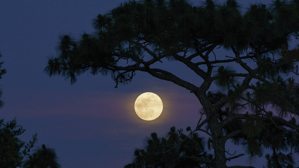 Август 2023 г ще бъде един от редките месеци през