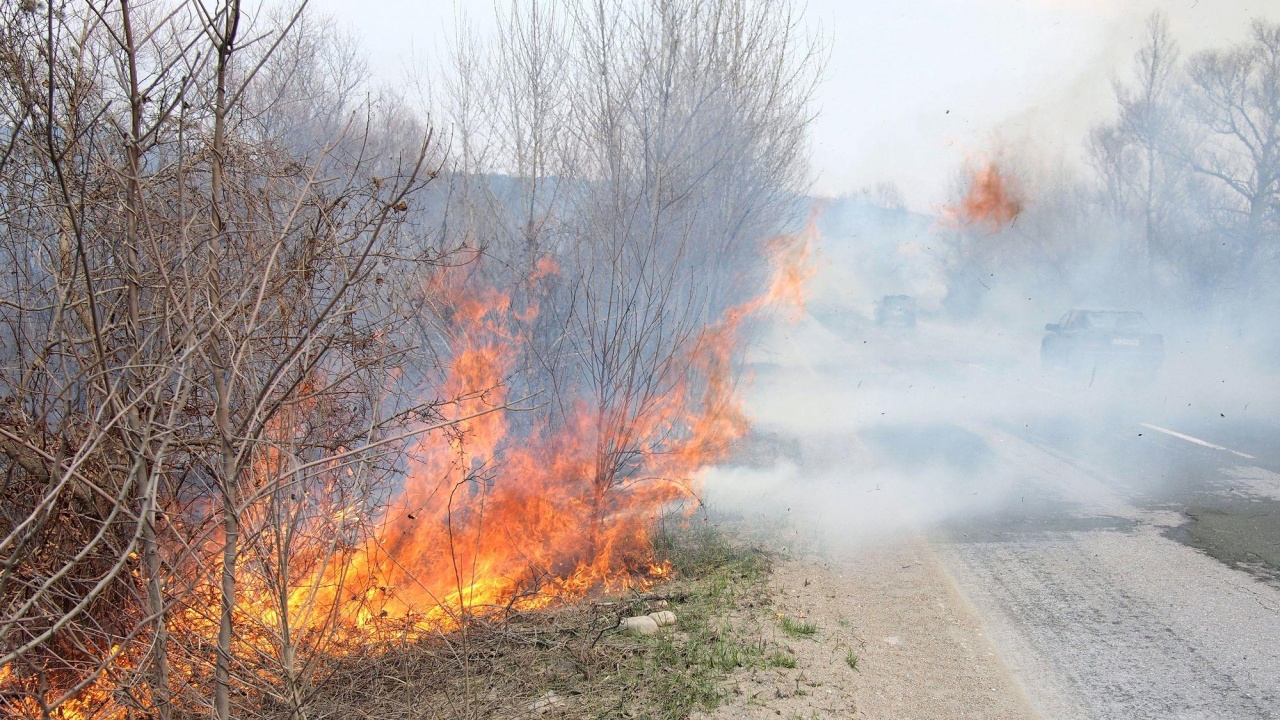 Пожарът в Ивайловград все още не потушен. Вчера там беше