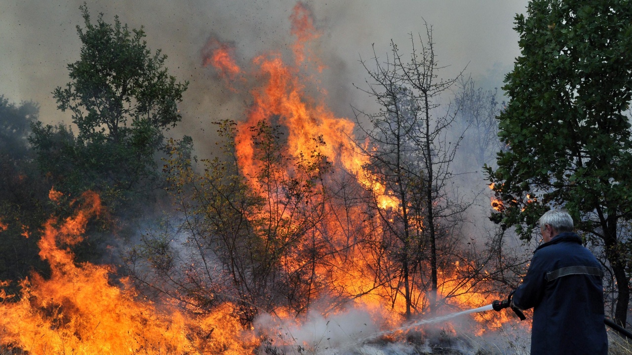 Бедственото положение в района на Ивайловград, обявено заради големия горски