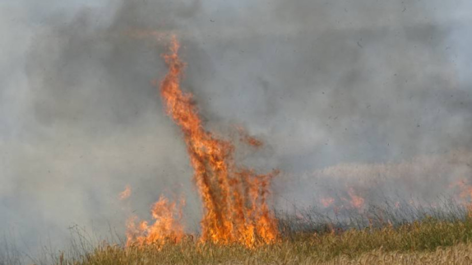 Пожар е възникнал край Петрич между селата Първомай и Кавракирово