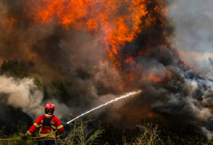 Португалия се бори с горските пожари Около 1400 души бяха