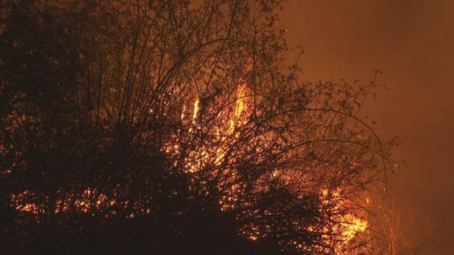 Пожар налага евакуацията на селата Варник и Маточина в Свиленградско,