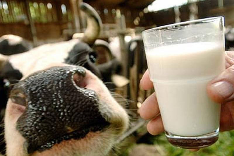Предвид тежката ситуация на пазара на мляко и млечни продукти,