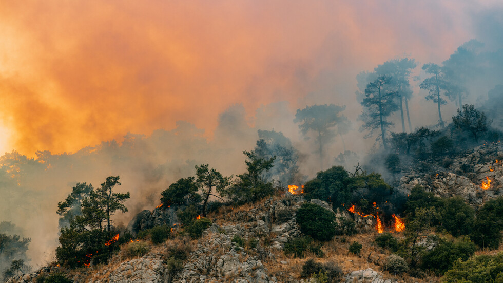 Пламъци обхванаха горски масив над район Нови Искър Това потвърди