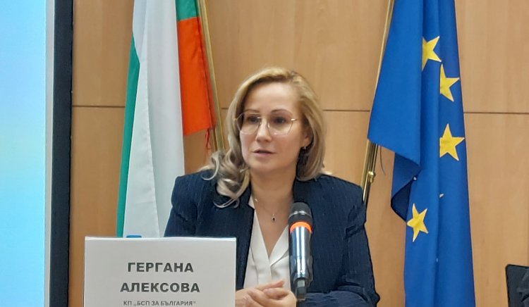 Най важната задача на българския евродепутат трябва да е да върне