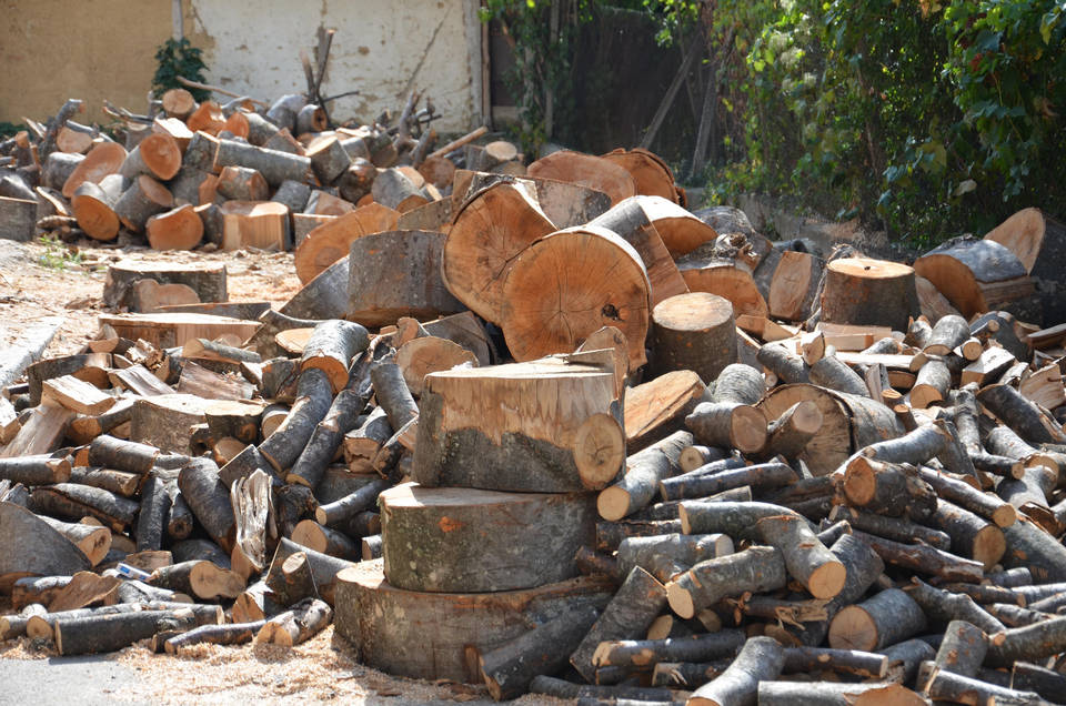 Българските домакинства които се отопляват с дърва ще бъдат неприятно
