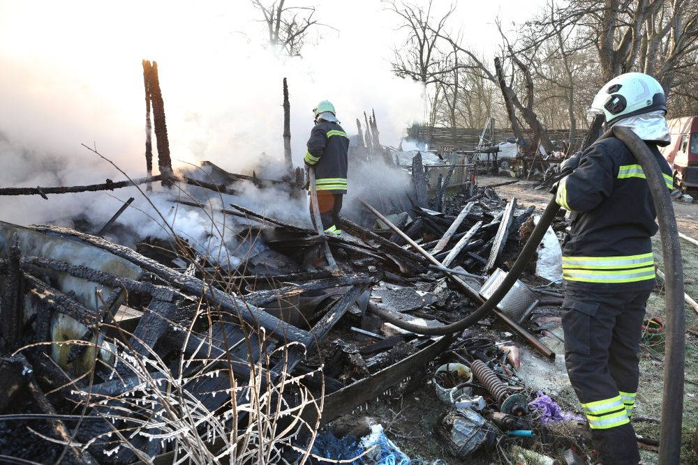 Седем животни са изгорели при пожар в конната база на