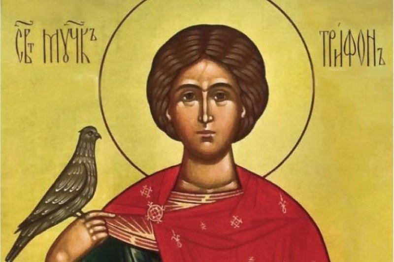 Българската православна църква почита днес паметта на Свети Трифон Той е