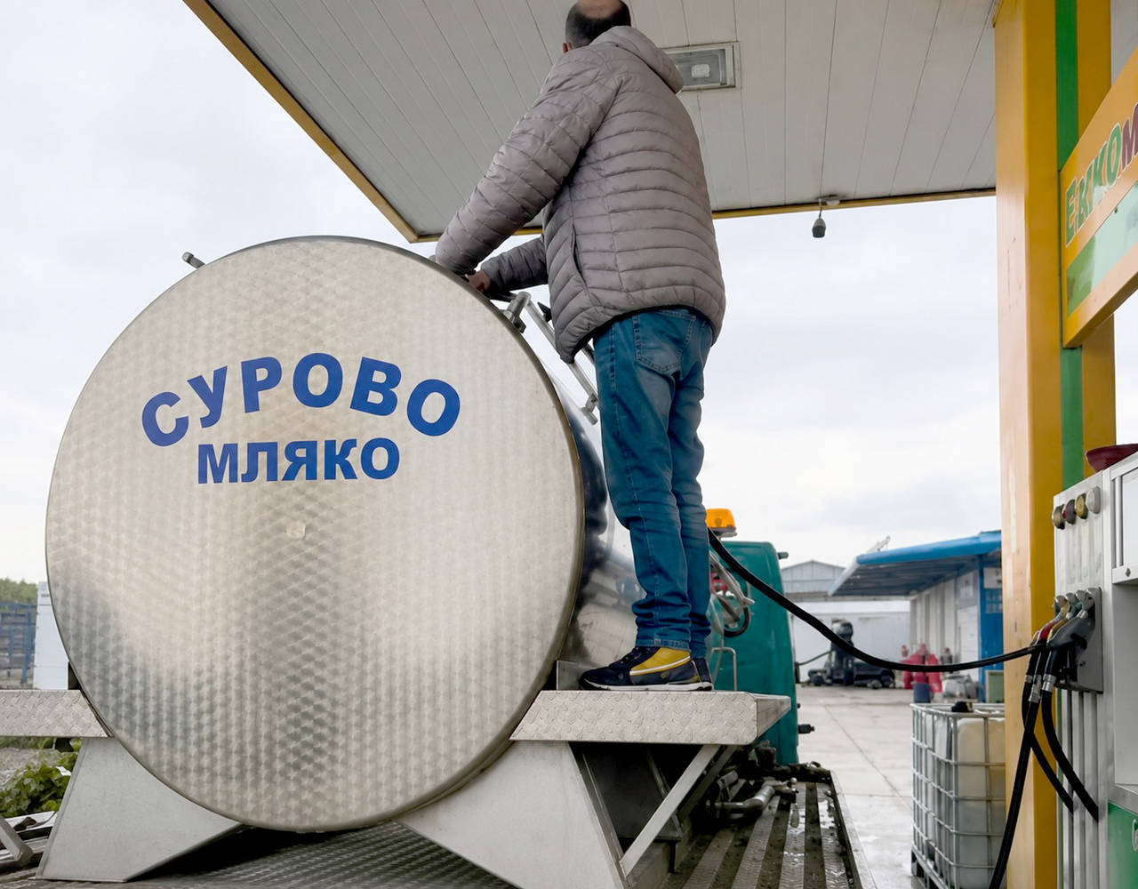 Криза с набавянето на сурово мляко и скок на цените