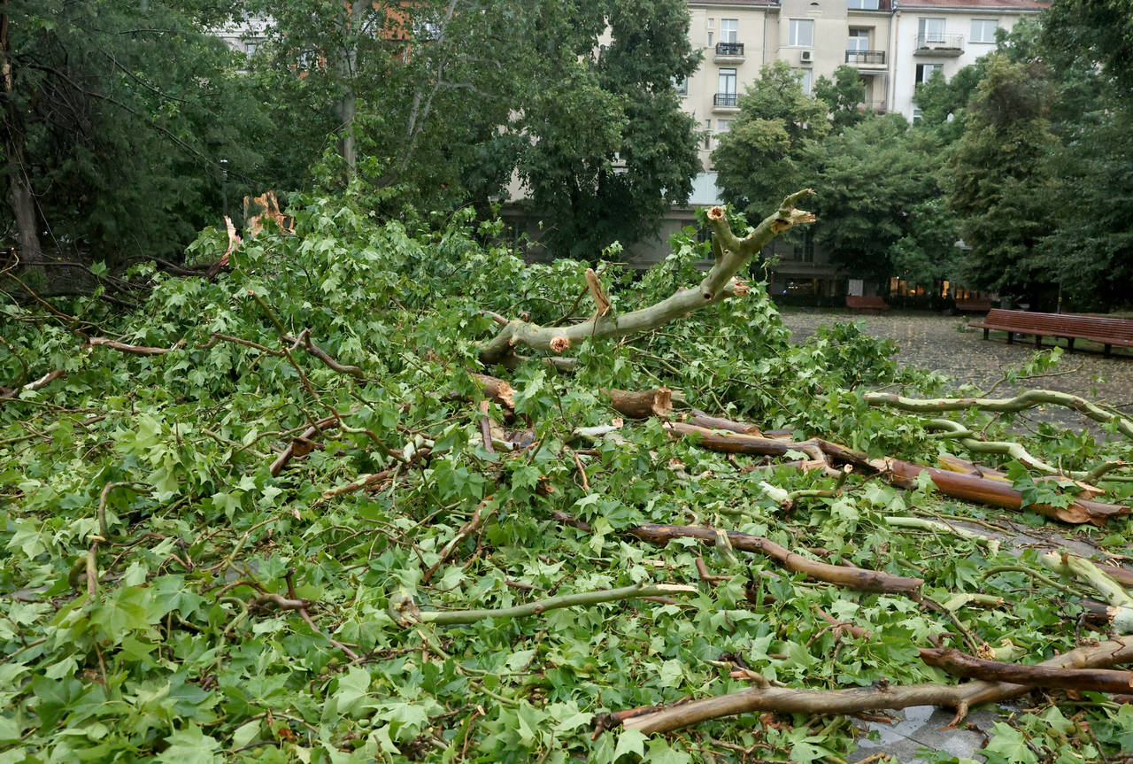 Обстановката в засегнатите от снощните бури райони постепенно се нормализира